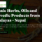 Herbs from Nepal