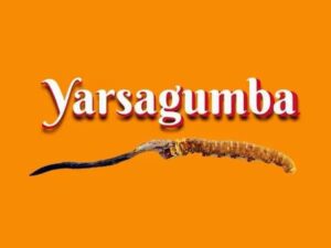 Yarshaguma 