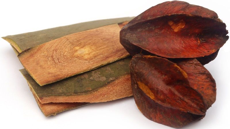 Arjuna Chhal / Arjuna Bark / Terminalia Arjuna - Greenmadu -Medicinal  Ayurvedic Herbs Spices Oils in Nepal